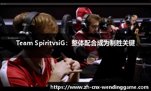 Team SpiritvsiG：整体配合成为制胜关键